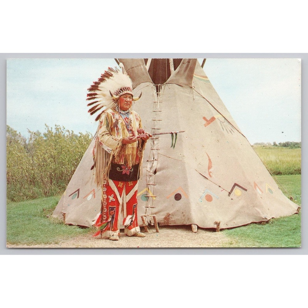 Vintage Minnesota Postcard Standing Eagle & Buffalo Hide Tipi Pipestone WB